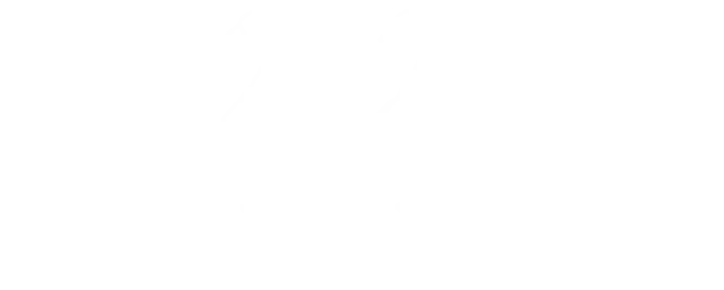 Polygoose Studio